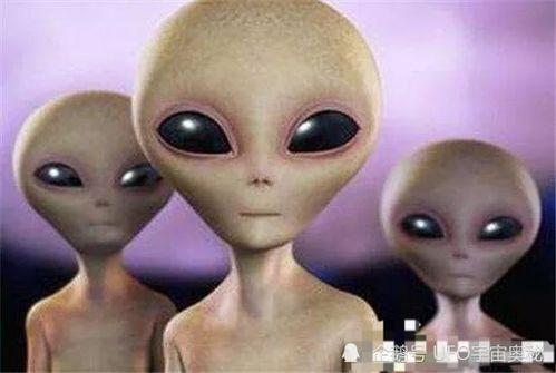 外星人最新爆料 第1张 外星人最新爆料 第1张
